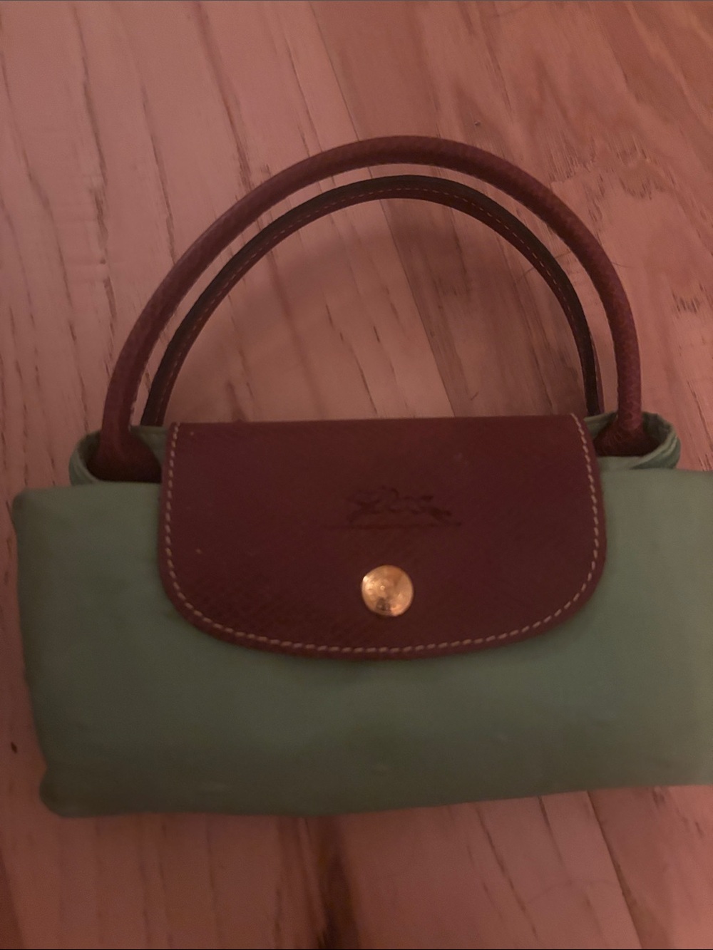 Longchamp Green Nylon Mini Bag with Brown Leather Flap